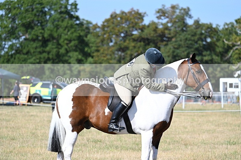 WJ7_2945 - Class 8 Ridden Tack & Turnout