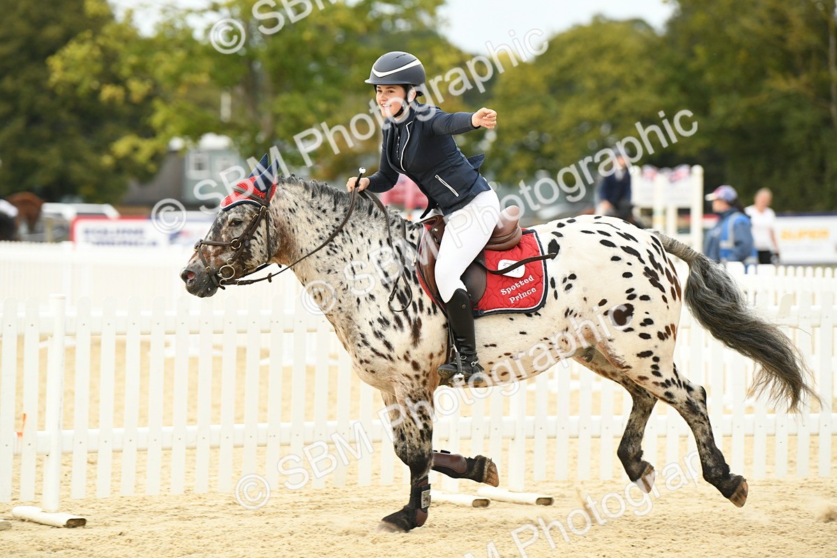 SBM_75884 - Supreme Championship