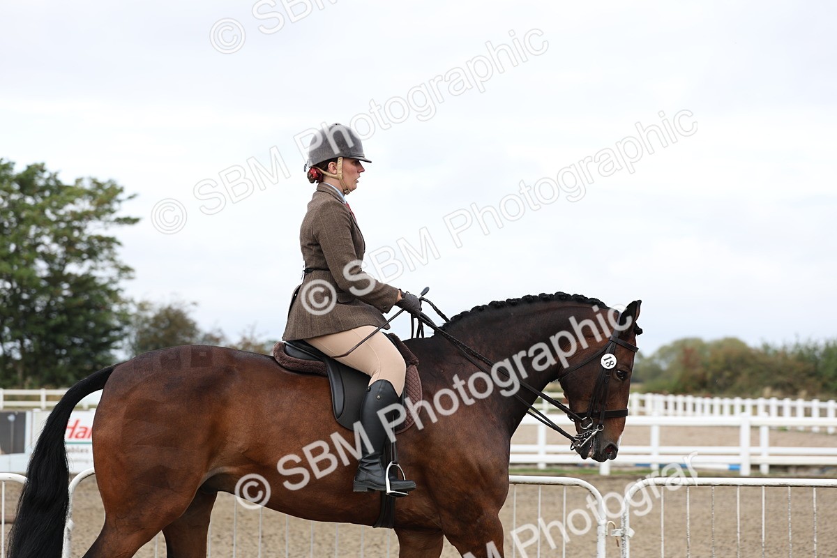 SBM_01479 - Class 52 - Ridden Veteran