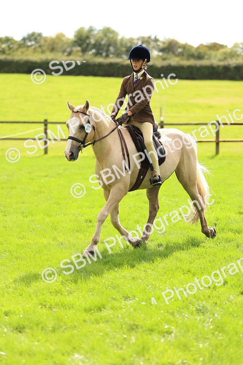 SBM_45380 - S33 - Working Hunter Pony