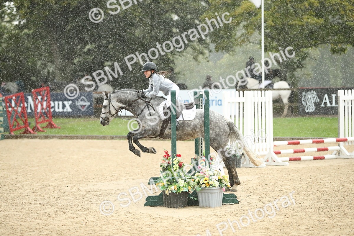 SBM_34303 - J60 Clear Round 50cm