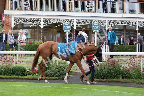 yr22072022r2-2 - Race 2 5.50pm eventmasters.co.uk Stakes