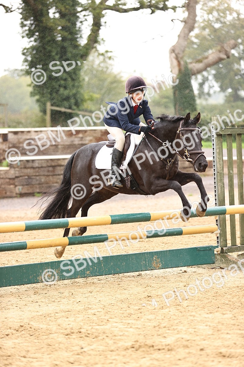 SBM_69970 - Supreme Championship 80cm 85cm
