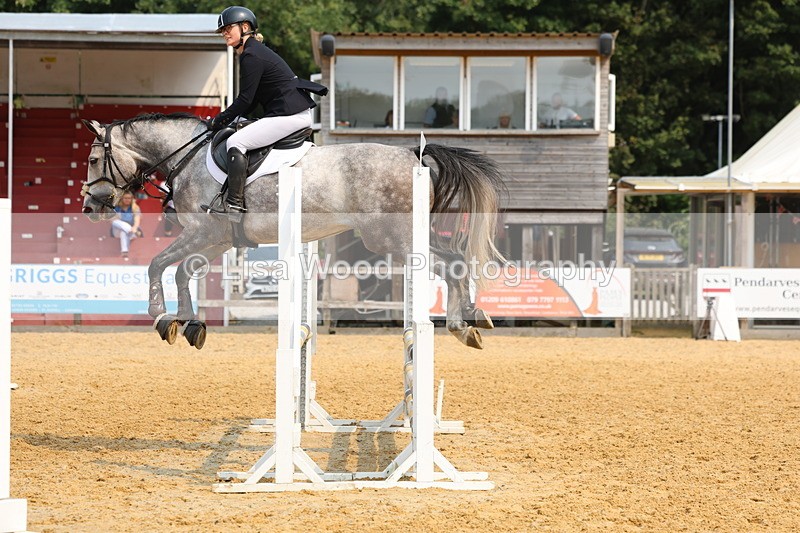 3E7A1564 - Class 4: Senior British Novice/90cm open