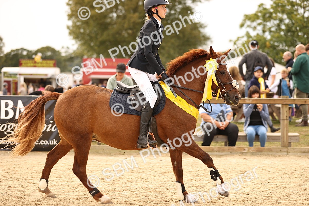 SBM_70862 - J13 - Junior Pony 60cm Championship