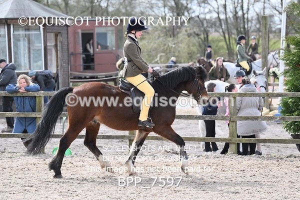 BPP_7597 - RING 1  (RIDDEN HORSES / IN HAND / VETERAN ETC)