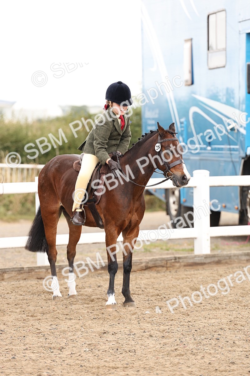 SBM_02903 - Class 53 - Ridden Competition Horse/Pony
