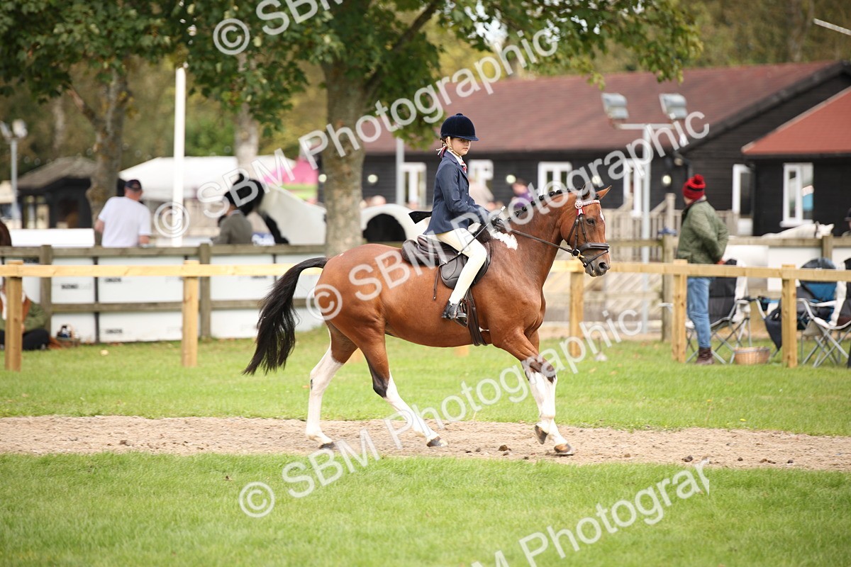 SBM_42316 - S13 - Pony Club Pony