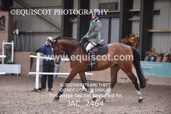 JAC_2464 - CLASS 3 Intermediate Working Hunter