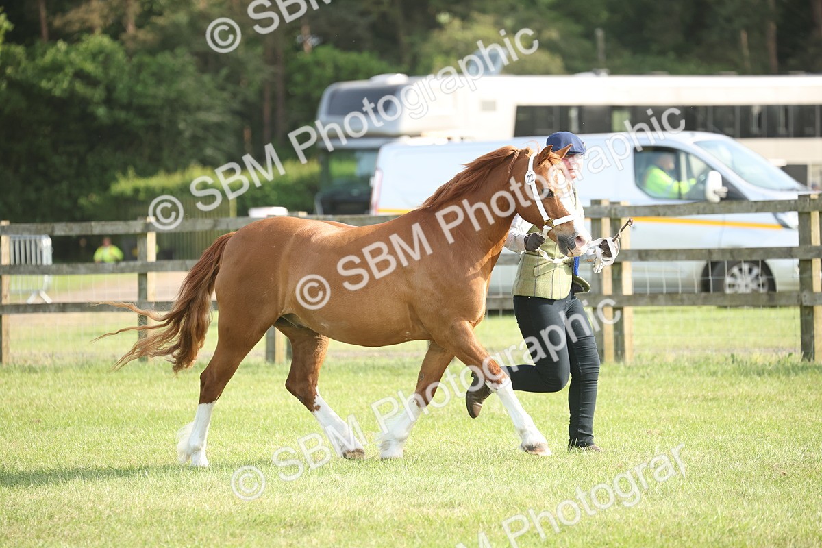 SBM_10526 - Class 33-38 - SSADL RIHS Qualifiers