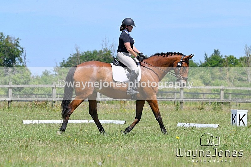 WJ7_3633 - Edited examples