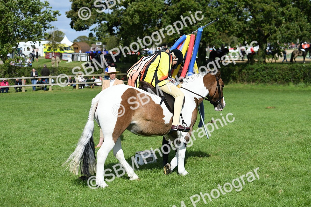 SBM_47120 - S12 - Family Horse & Pony