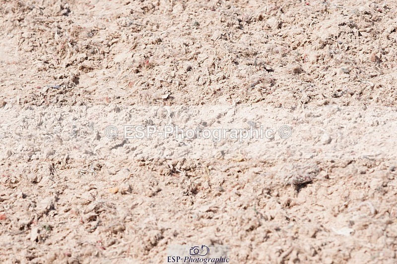 250503-135000-01180 - Cls 27 Stepping Stones