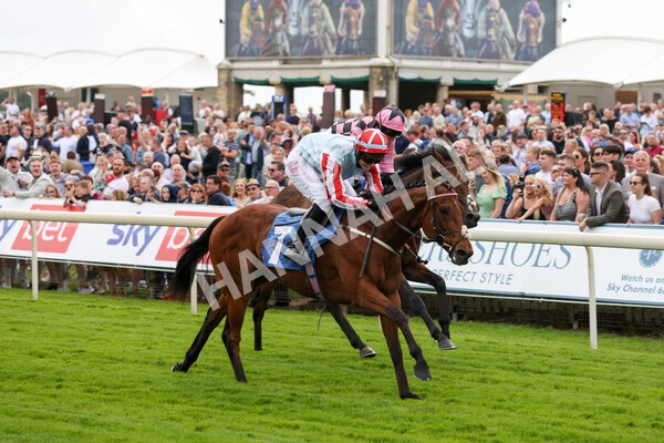 yr11062022r2-82 - Race 2 2.00pm Queen Mother's Cup