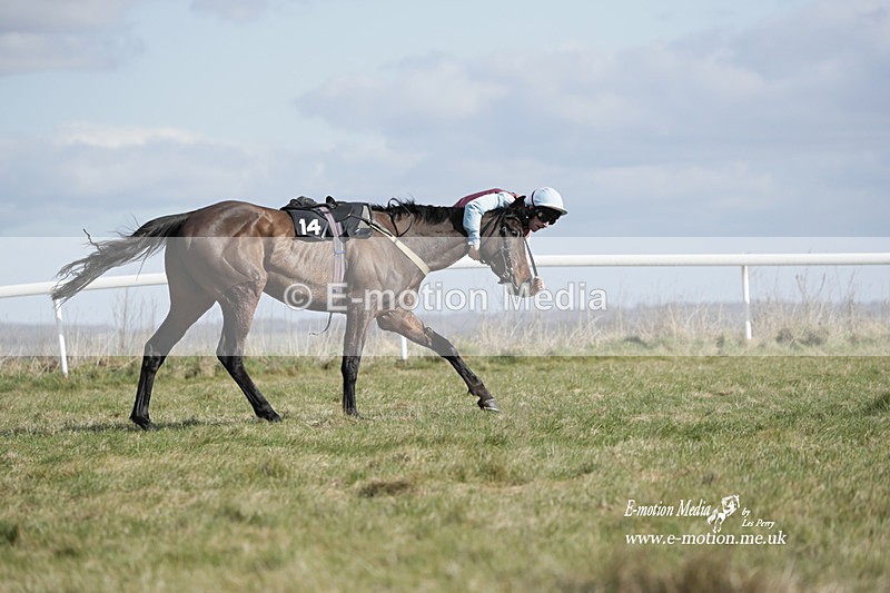 PtP 260223 493 - South & West Wilts Point-to-Point Larkhill 26/02/23