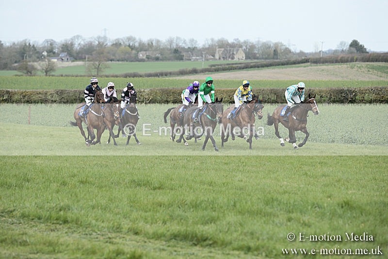 PtP 230319 138 - VWH Hunt Siddington Point-to-Point Racing 23/03/19