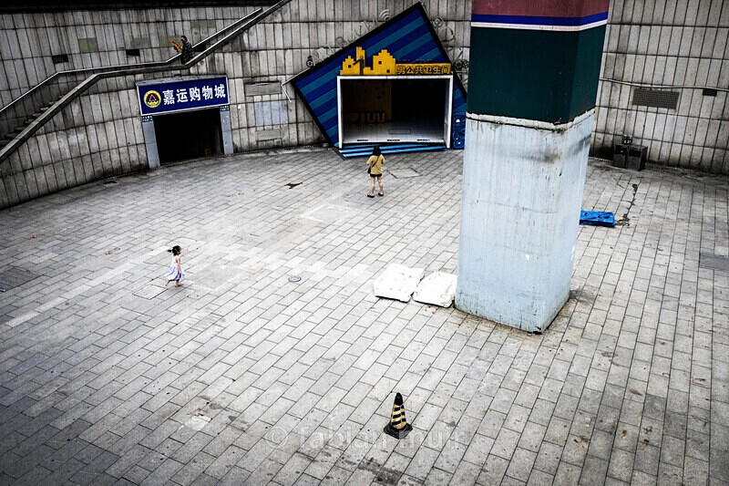  - Where the Wild Concrete Grows (China, ongoing)