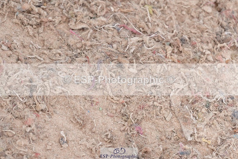 250505-094554-04155 - Cls 12 Stepping Stones