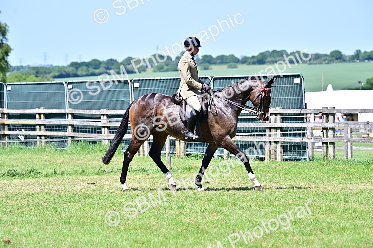 SBM_18157 - Class 99-100 - Retraining of Racehorses Ridden