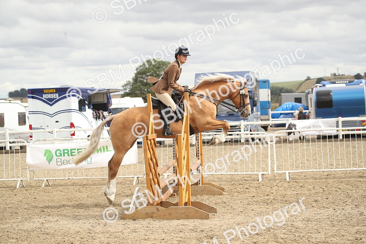 SBM_17673 - Class 508a - Working Veteran 70cm (15-19)