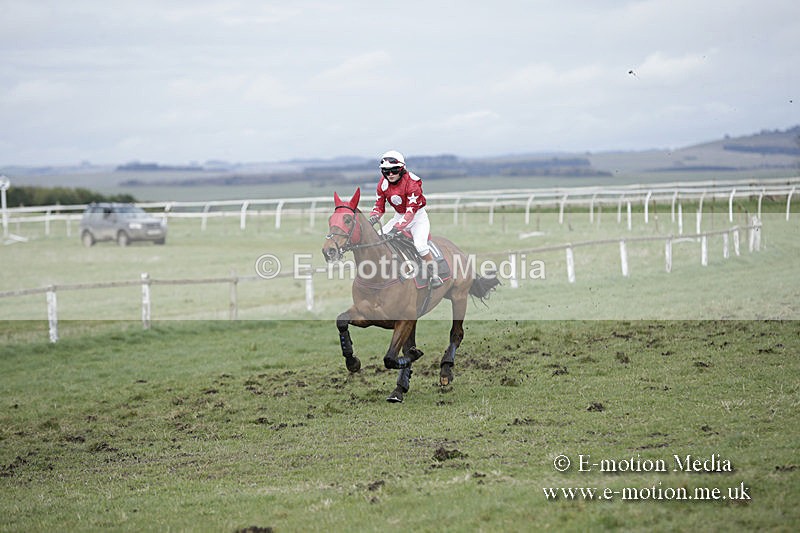 PtP 150320 0662 - New Forest Point-to-Point Larkhill 15/03/20