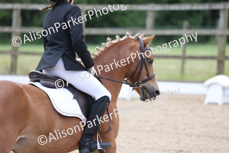 20250614-0622 - Class 5 - Novice 3