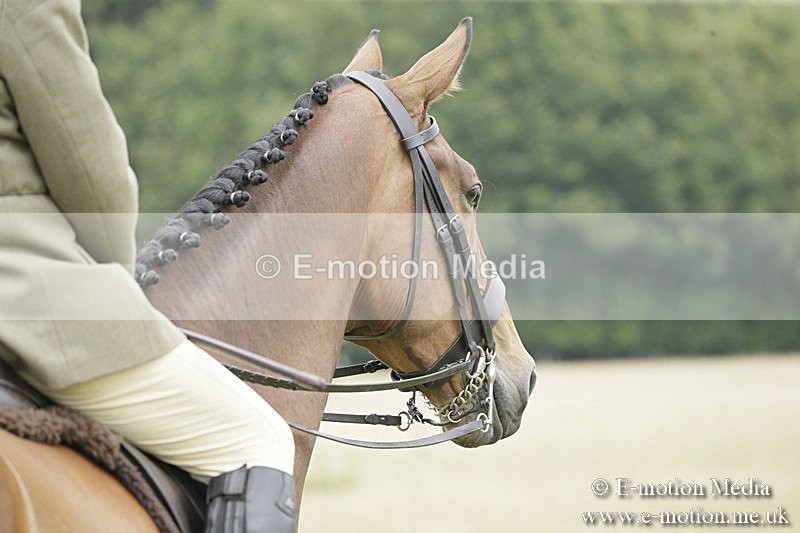 B230619-0819 - Bourne Valley Riding Club Summer Show 23/06/19