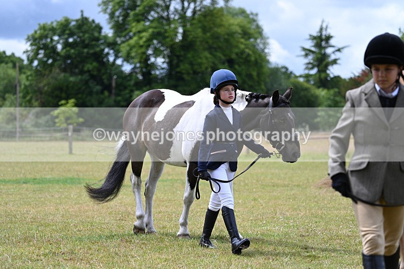 WJ7_6567 - Class 5 Handsome Gelding in hand