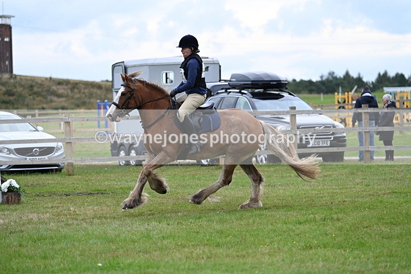 WJ7_7709 - 40cm Time 10:49 to 11:18