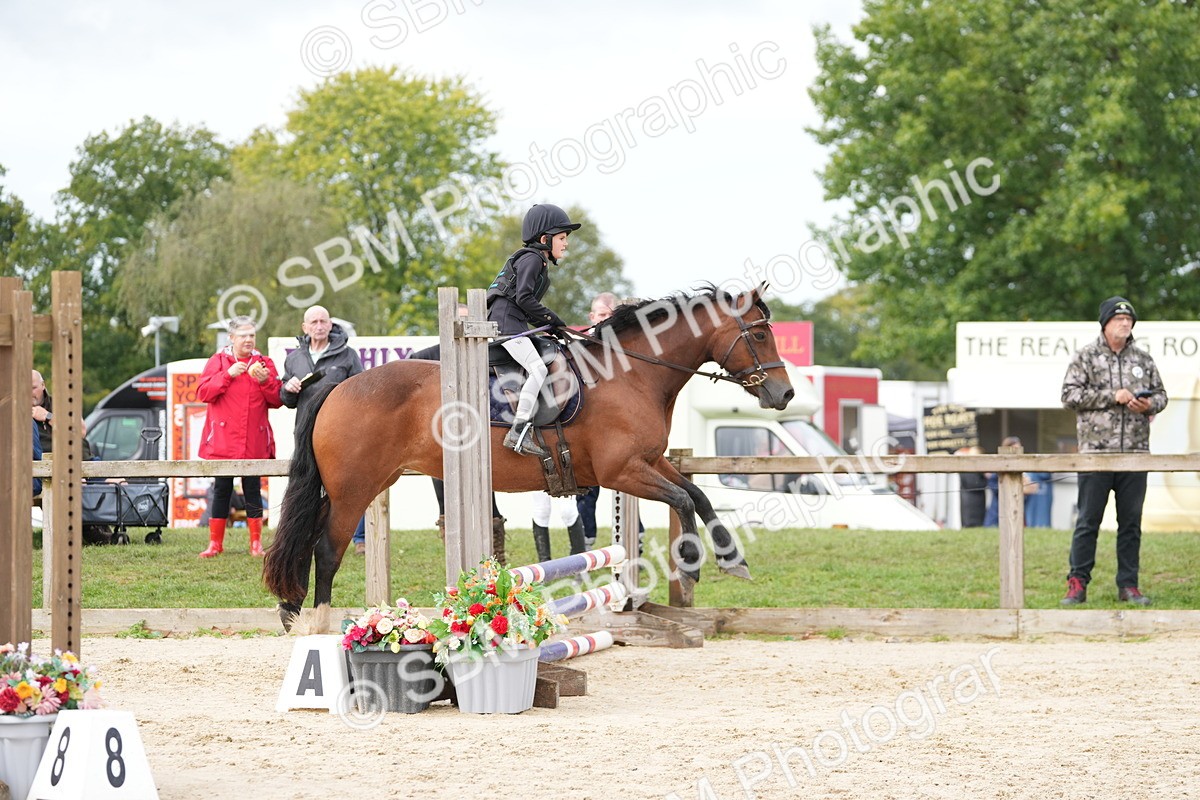 SBM_39805 - J6 - Junior Pony 55cm Championship