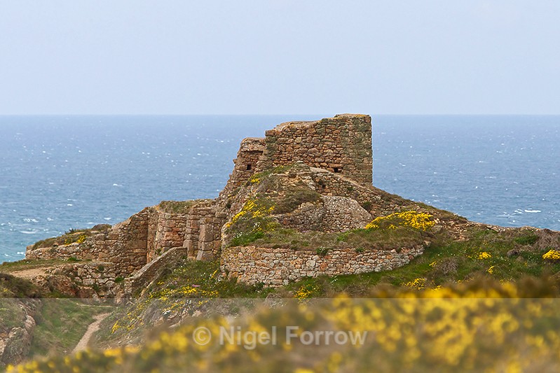 Ruins of Grosnez Castle - Guernsey & Jersey, Channel Islands