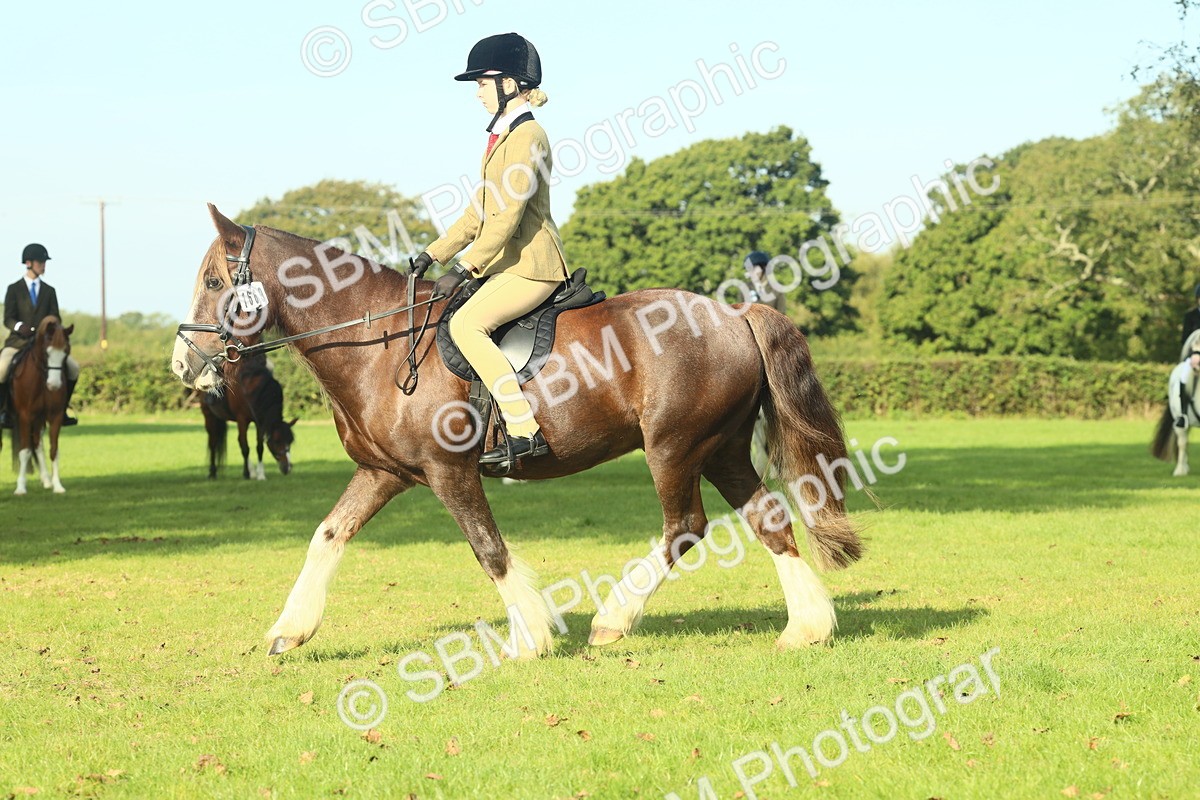 SBM_59896 - S38 - Starters Ridden Showing