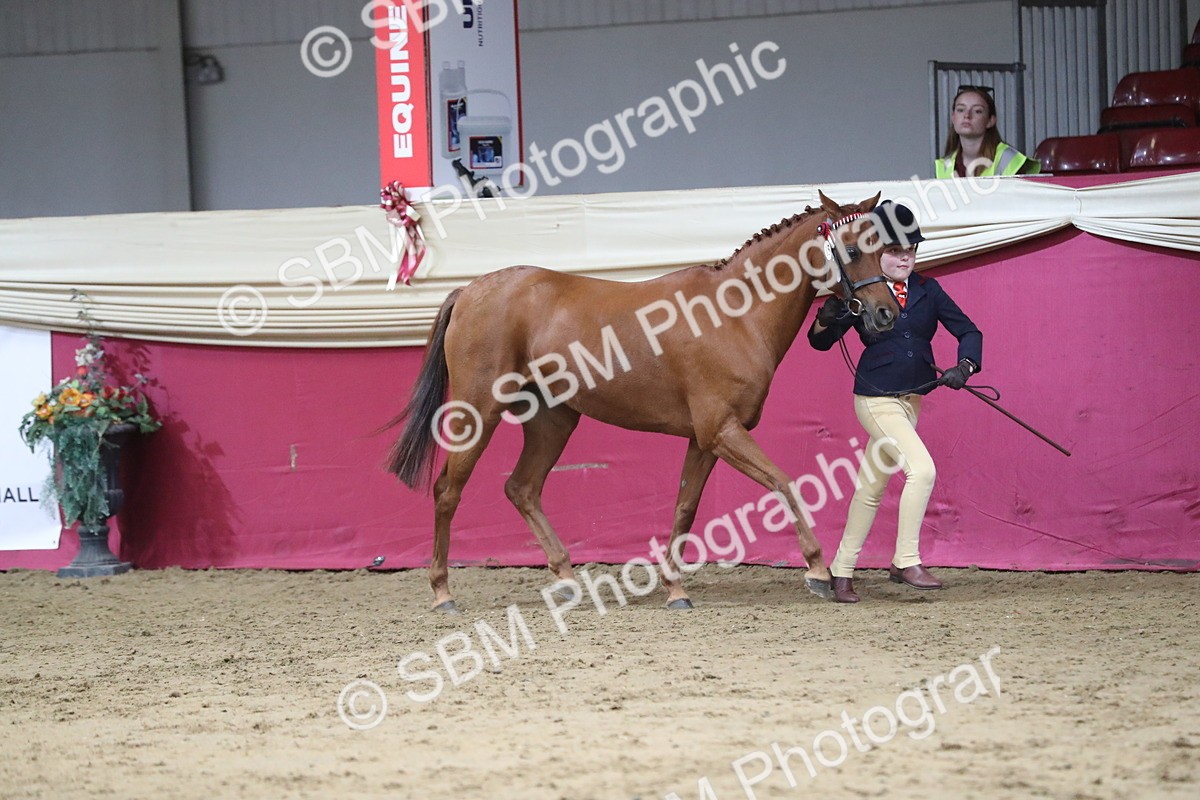 SBM_06382 - Class 9R Regional- IH Pre Vet