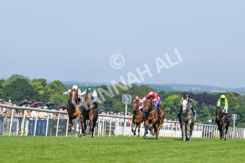 250624-Race 6-Cockalorum-9358 - Race 6