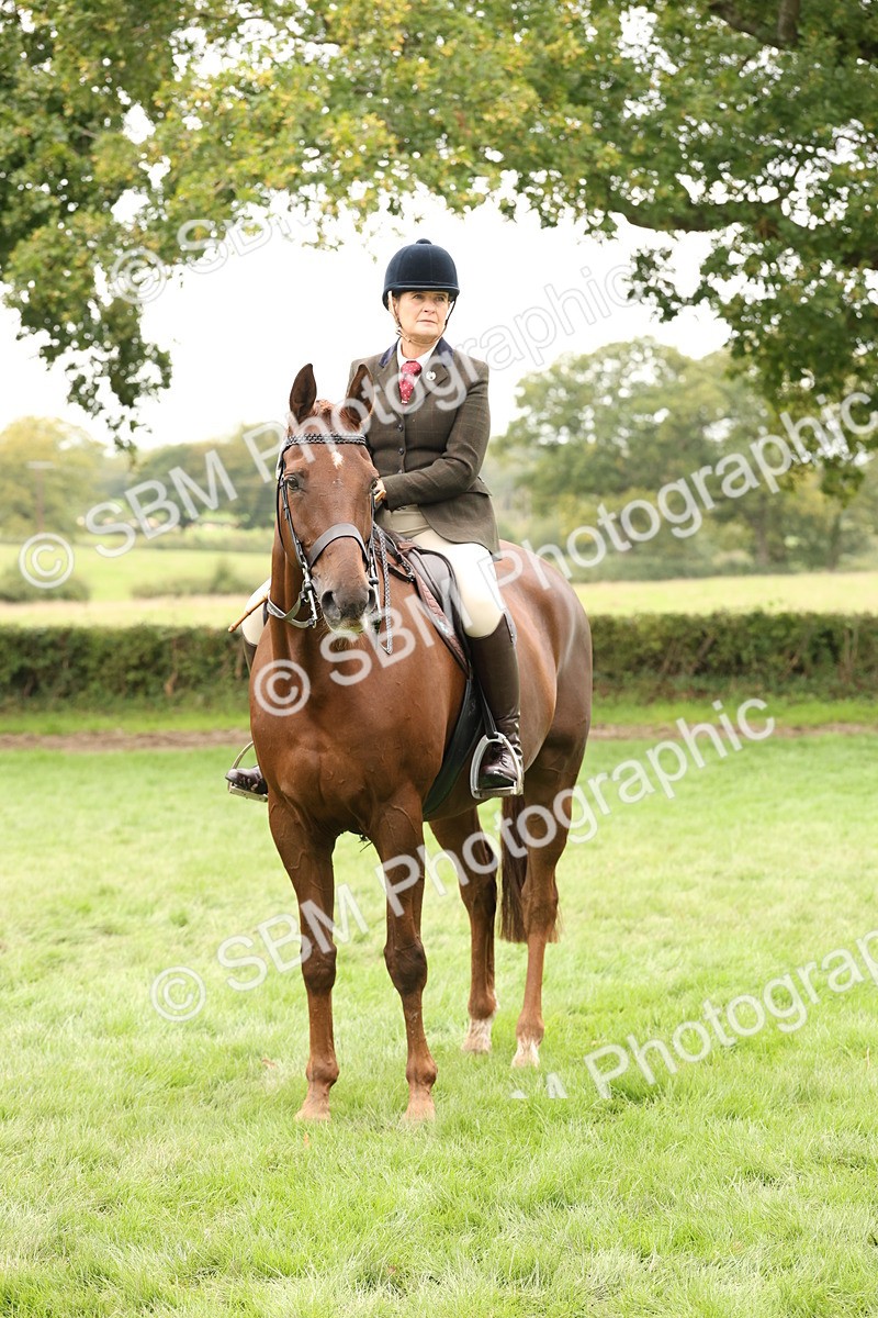 SBM_66367 - S66 - Hunter Ridden