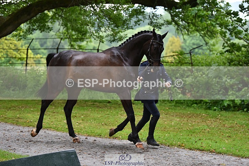 240522-162436-00896 - 205-BENOIT_BOLD-Felix_Etzel