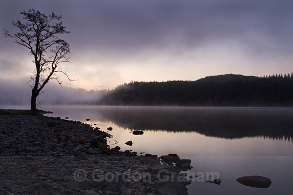 Loch Ard @dawn - General