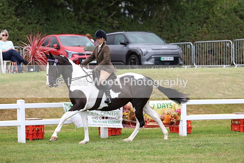 3E7A0956 - Class 8: Open Riding Horse/Hack