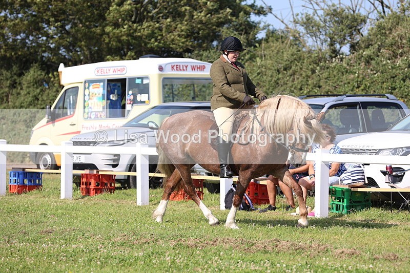 JPP_1705 - Class 19: Cornish Combination Open