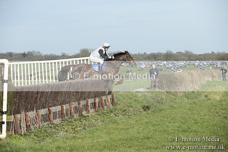 PtP 230319 489 - VWH Hunt Siddington Point-to-Point Racing 23/03/19