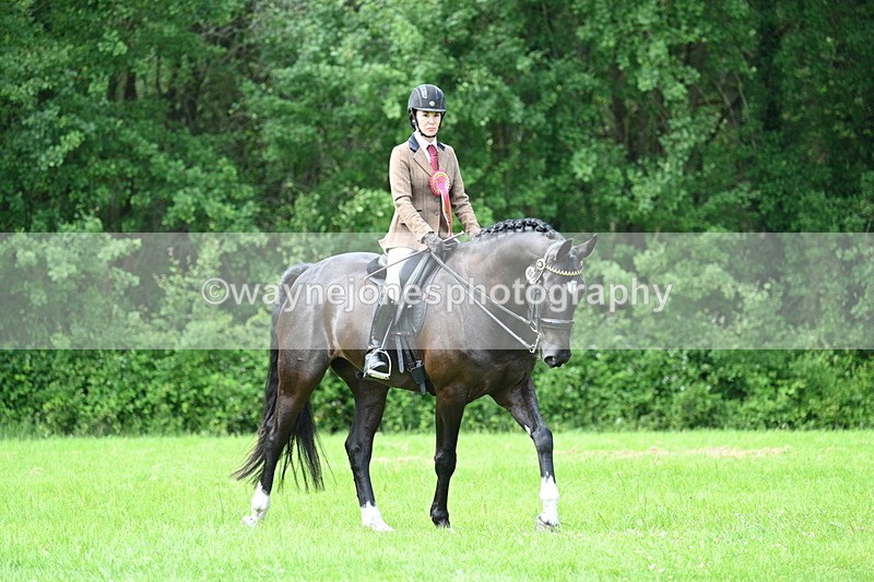 WJ7_1617 - Class 11 Condition & Turnout
