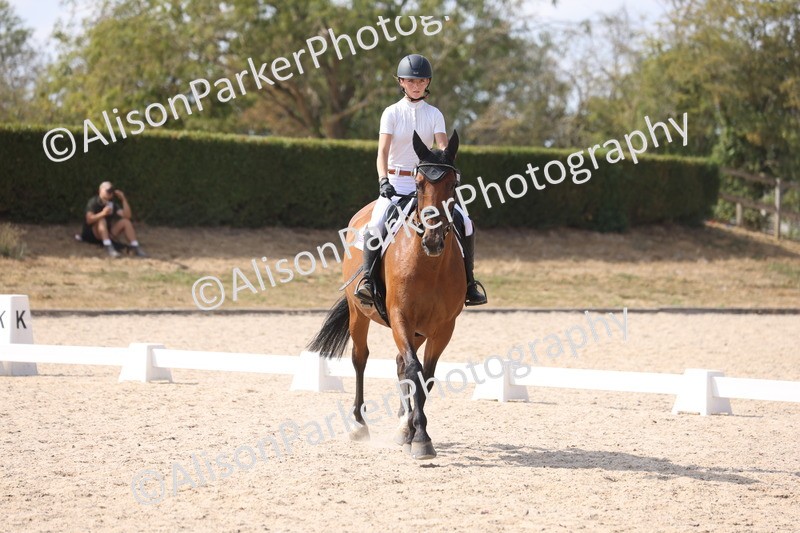 20260815-1090 - Class 6 - Novice 2