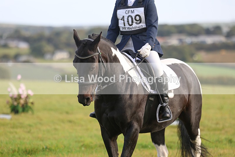 3E7A5491 - Class 1: Trebudannon Open: Dressage