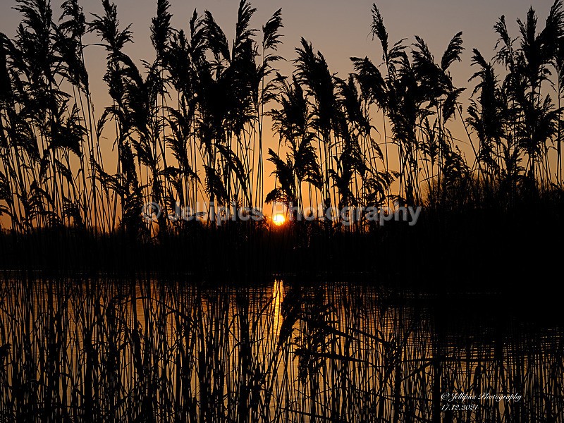  - Landscapes