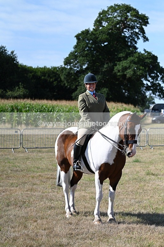 WJ7_3150 - Class 8 Ridden Tack & Turnout