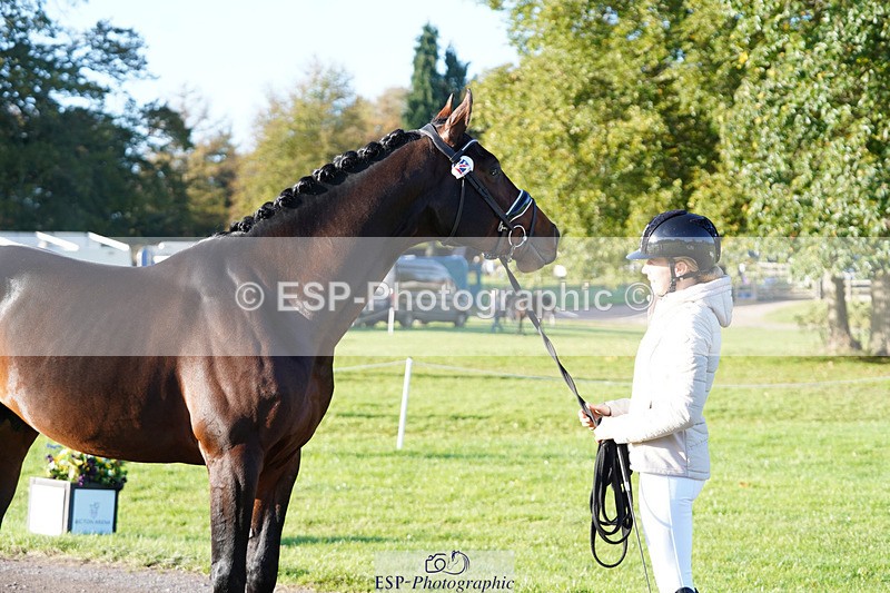 241026-101642-11738 - 012-Mollie.Summerland-SKITTEL.D'EKWI