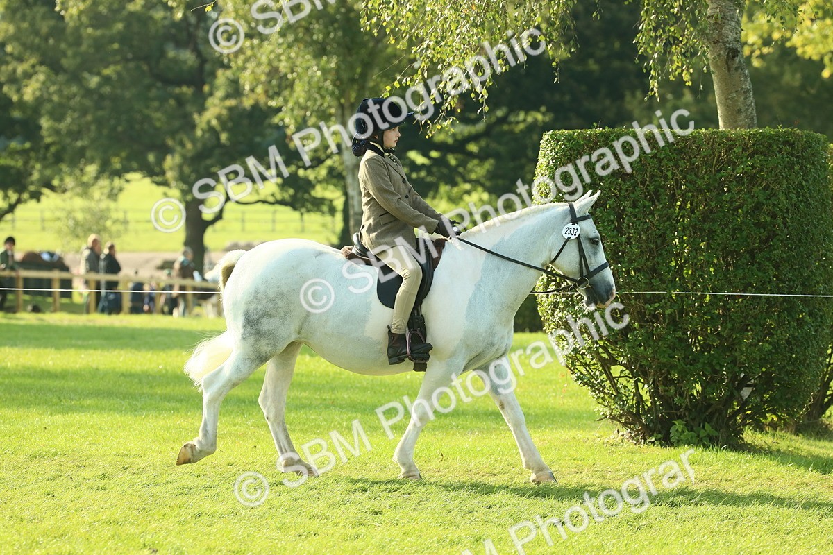 SBM_59306 - S38 - Starters Ridden Showing