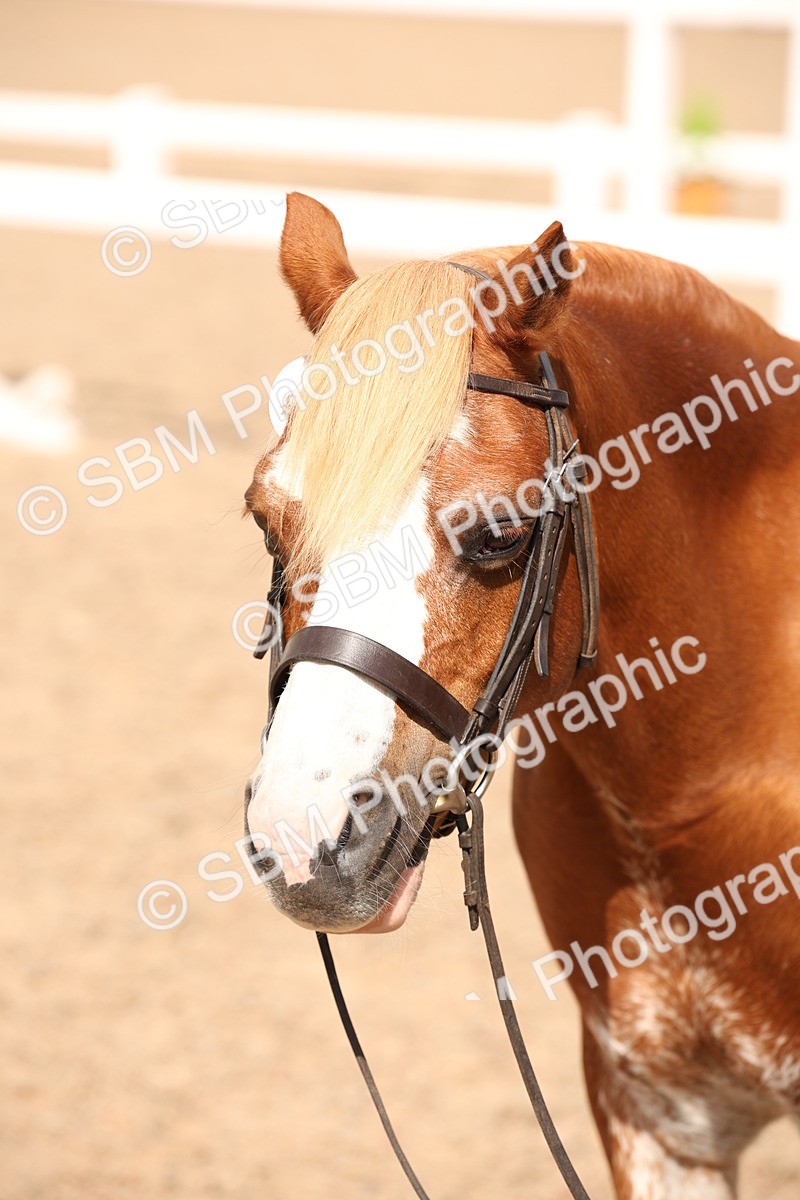 SBM_04600 - Class 20 IH Veteran