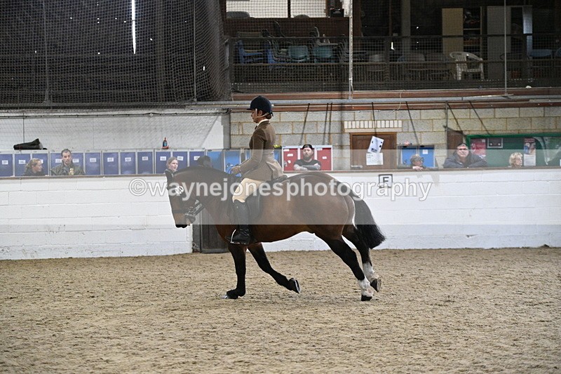 WJ7_4004 - Class 17 Ridden Cob