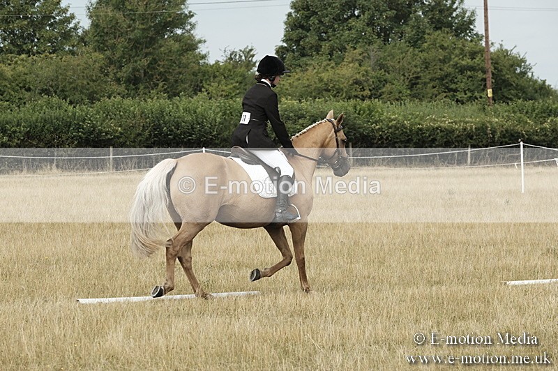 _PJP5731 - Dressage Classes BVRC Show 2018